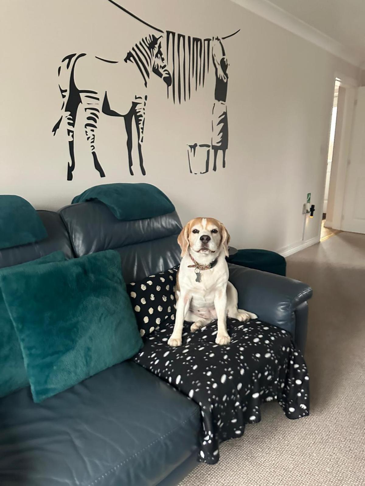 Casa de Férias Hereford - Finch House - Modern 4 Bedroom House Located In South Hereford, Dog Friendly With Nearby Countryside, Pool Table, Sleeps Up To 10 Guests - Hosted By Rentmyhouse Hereford