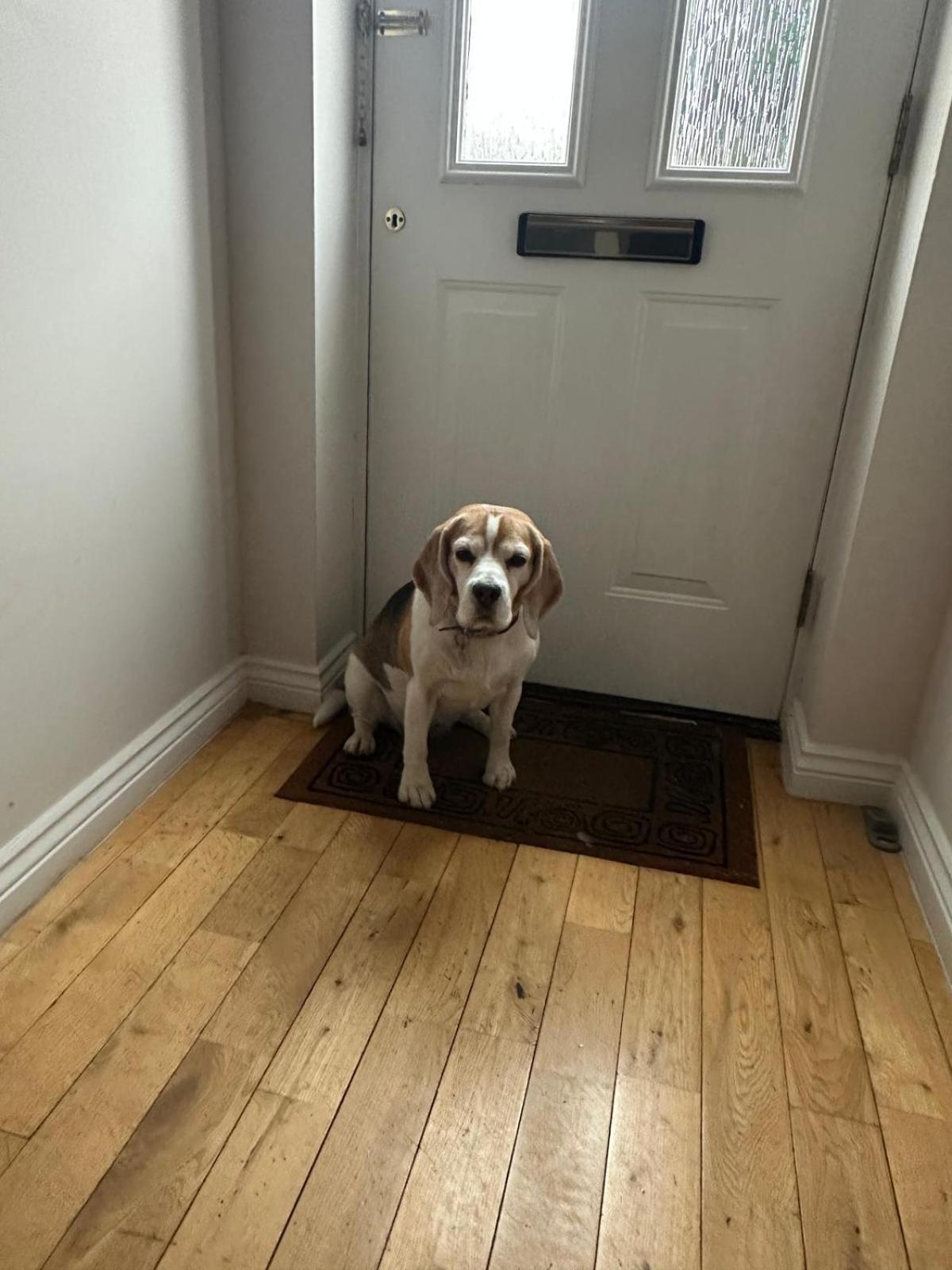 Casa de Férias Hereford - Finch House - Modern 4 Bedroom House Located In South Hereford, Dog Friendly With Nearby Countryside, Pool Table, Sleeps Up To 10 Guests - Hosted By Rentmyhouse *