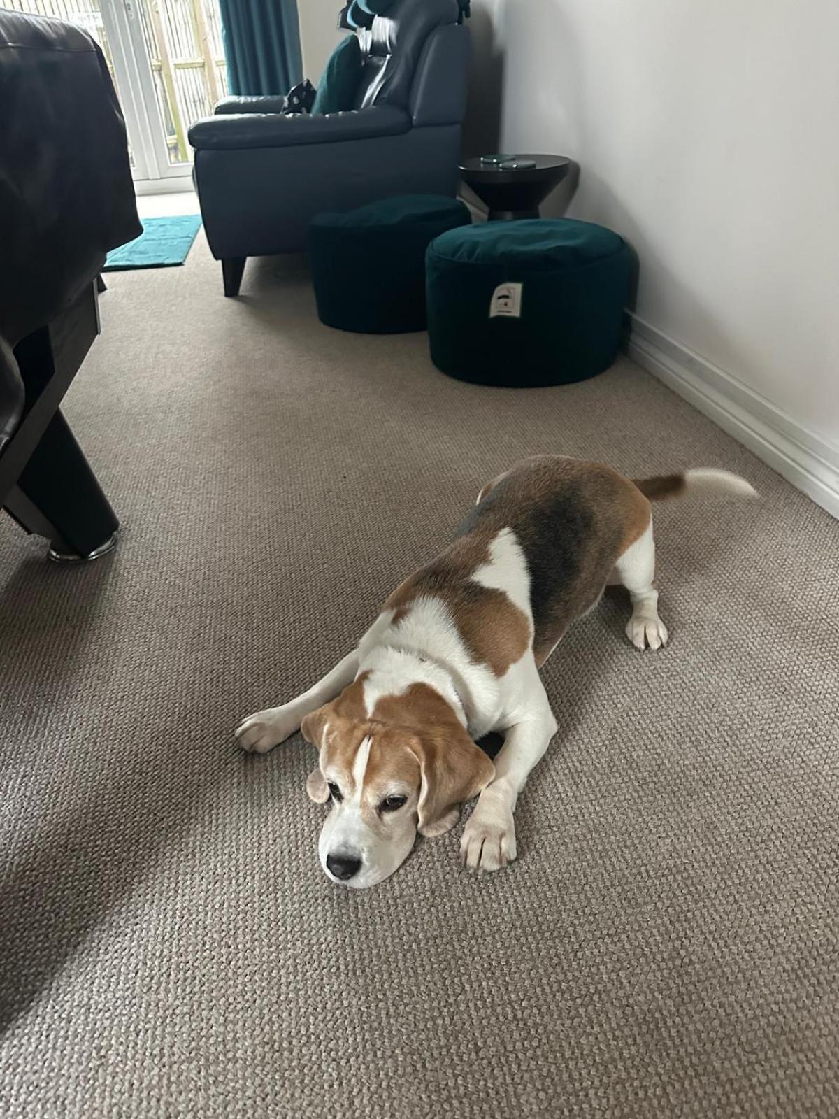 Casa de Férias Hereford - Finch House - Modern 4 Bedroom House Located In South Hereford, Dog Friendly With Nearby Countryside, Pool Table, Sleeps Up To 10 Guests - Hosted By Rentmyhouse Hereford