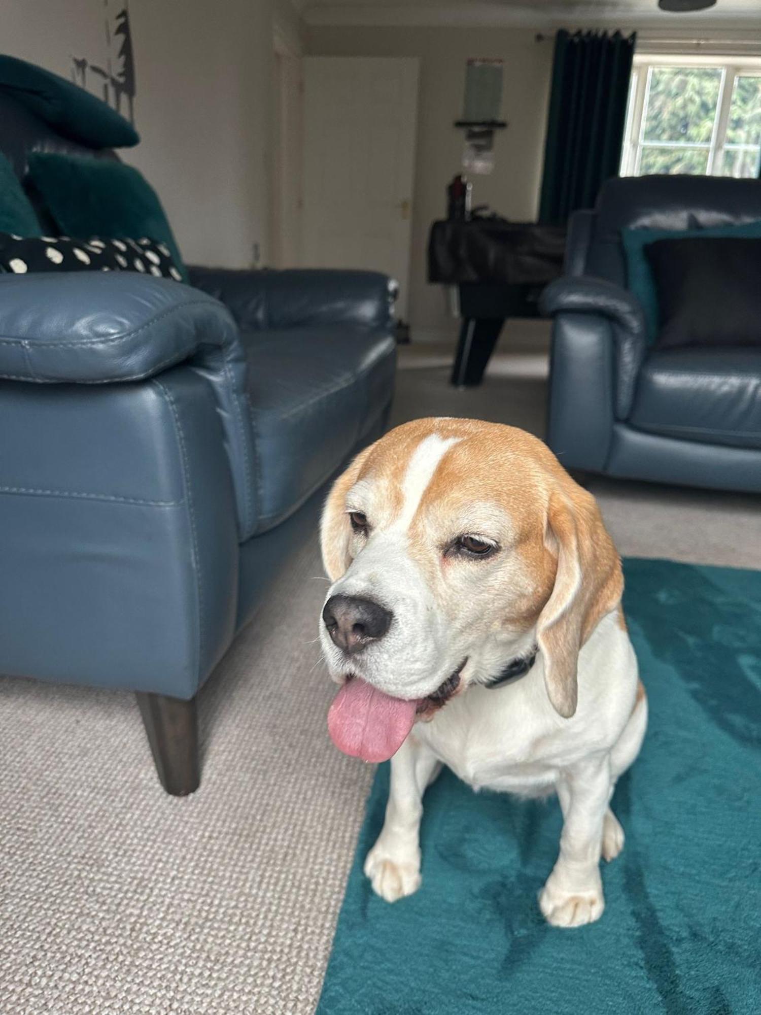 Hereford - Finch House - Modern 4 Bedroom House Located In South Hereford, Dog Friendly With Nearby Countryside, Pool Table, Sleeps Up To 10 Guests - Hosted By Rentmyhouse Casa de Férias